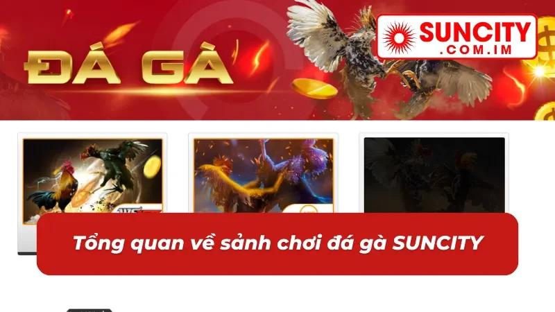 Tổng quan về sảnh chơi đá gà mới nhất