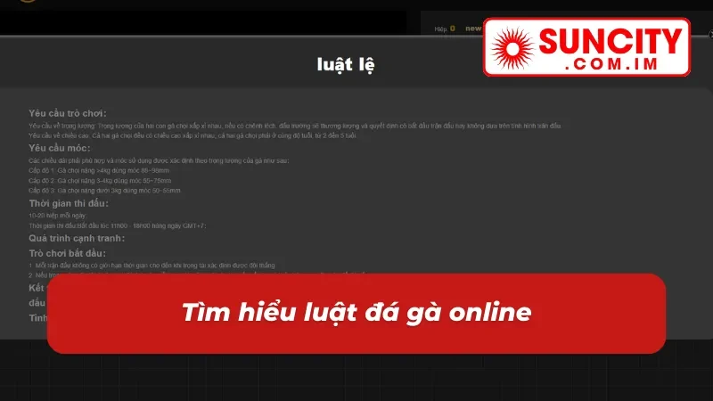 Tìm hiểu luật chơi đá gà siêu dễ hiểu