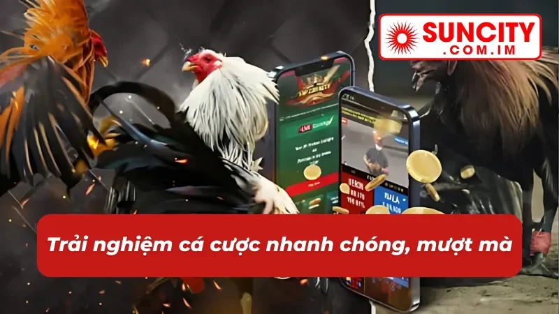 Sảnh đá gà mang đến một trải nghiệm cá cược mượt mà