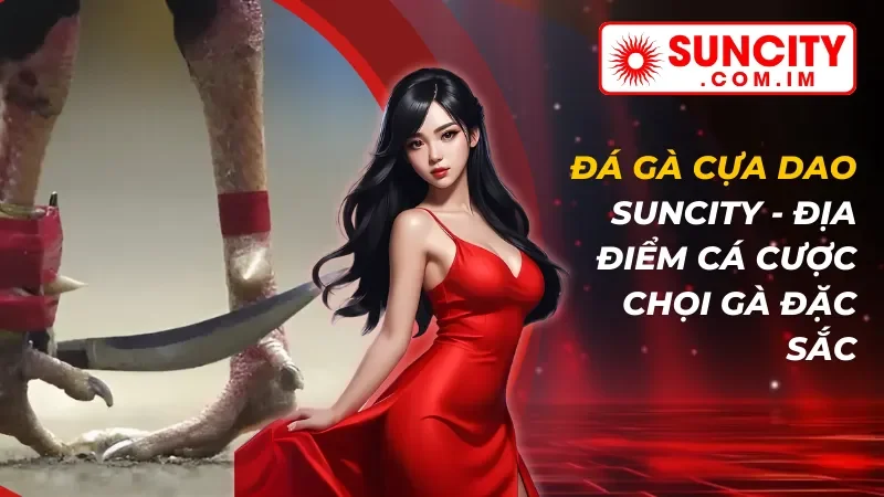 Đá Gà Cựa Dao - Địa Điểm Cá Cược Chọi Gà Đặc Sắc Tại SUNCITY