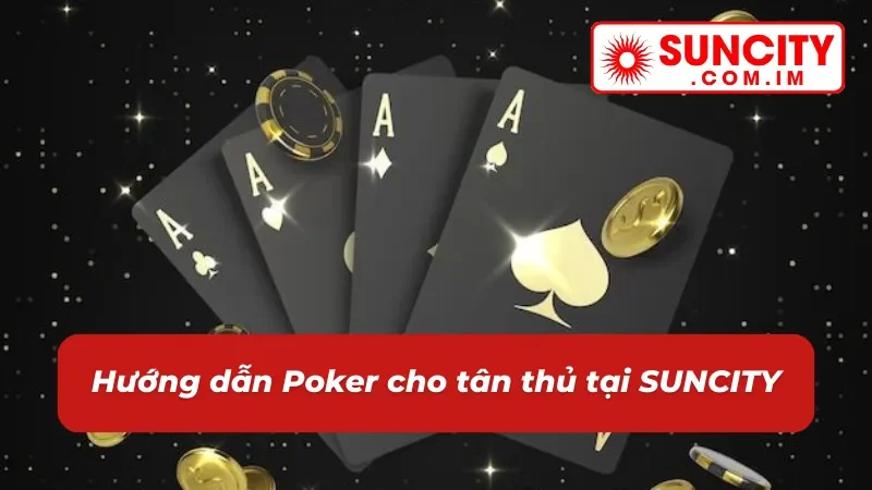 Chỉ dẫn chơi Poker chi tiết cho cược thủ mới